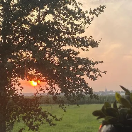 Bed & Breakfast Vida *