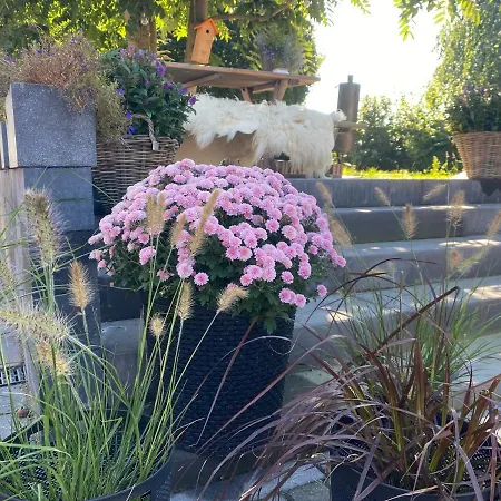 Vida Valkenburg aan de Geul