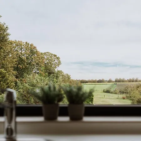 Vida Bed & Breakfast