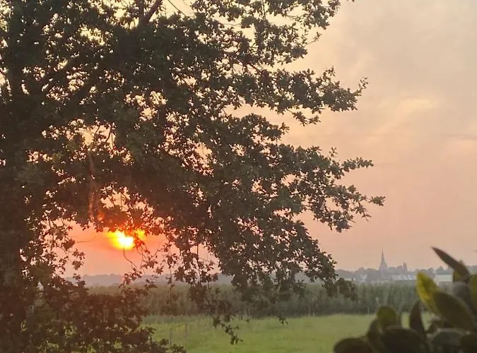 Bed & Breakfast Vida *