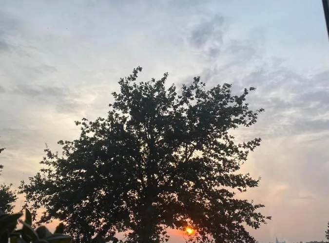 住宿加早餐酒店 Vida