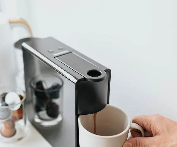 Vida 住宿加早餐酒店