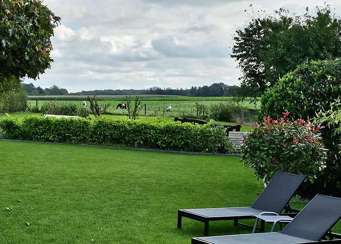 Vida 住宿加早餐酒店 *