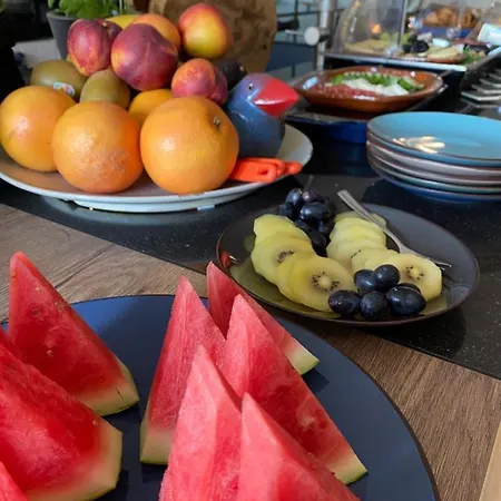 Vida * Валкенбург