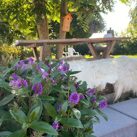 Vida Отель типа 