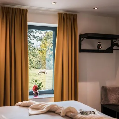 Vida Валкенбург