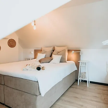 Vida * Valkenburg aan de Geul