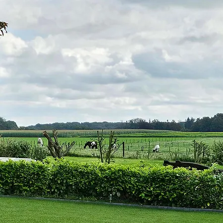 Bed and Breakfast Vida Valkenburg aan de Geul