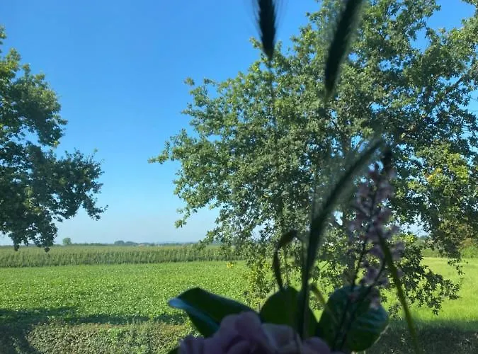 Vida Valkenburg aan de Geul