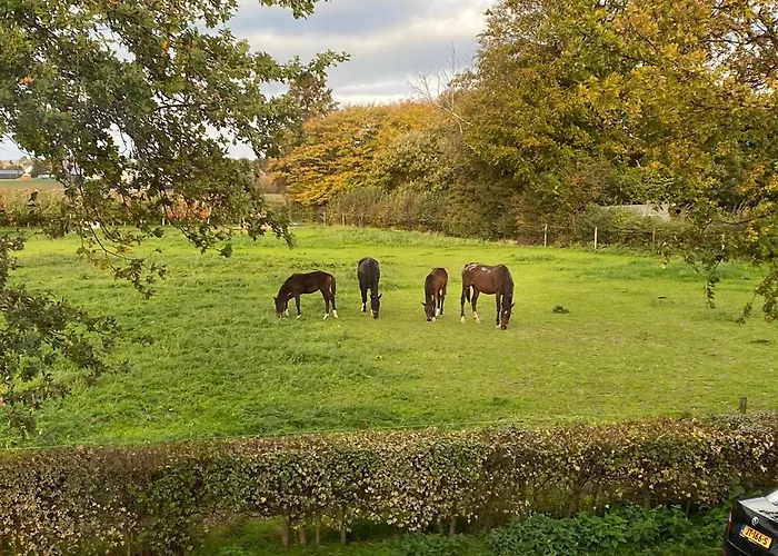 Alojamento de Acomodação e Pequeno-almoço Vida