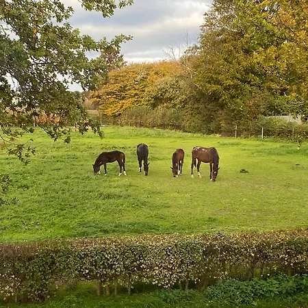 לינה וארוחת בוקר Vida