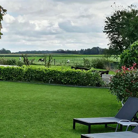 Vida לינה וארוחת בוקר *