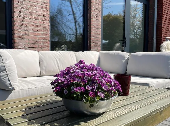 Bed & Breakfast Vida Valkenburg aan de Geul