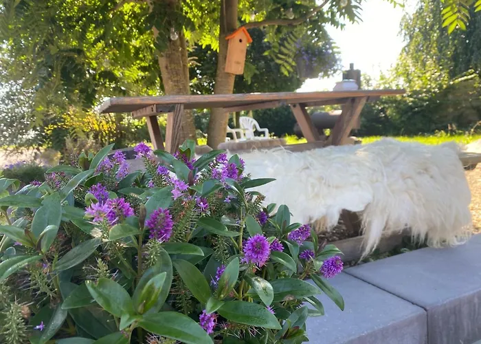 Vida Bed & Breakfast *