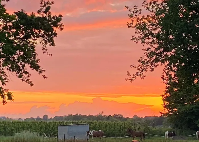 Vida Valkenburg aan de Geul